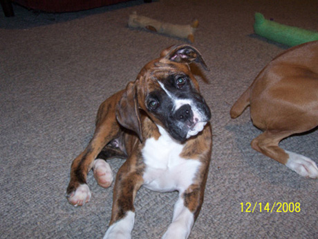 Tyson posing for a picture