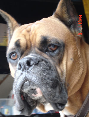Tyson...so regal