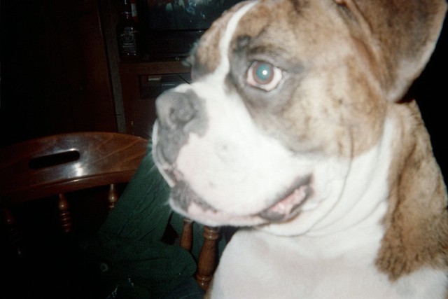 Tyson up close and personal