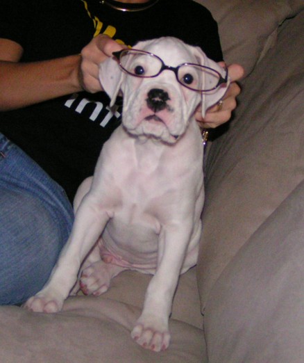 Tyson wearing glasses