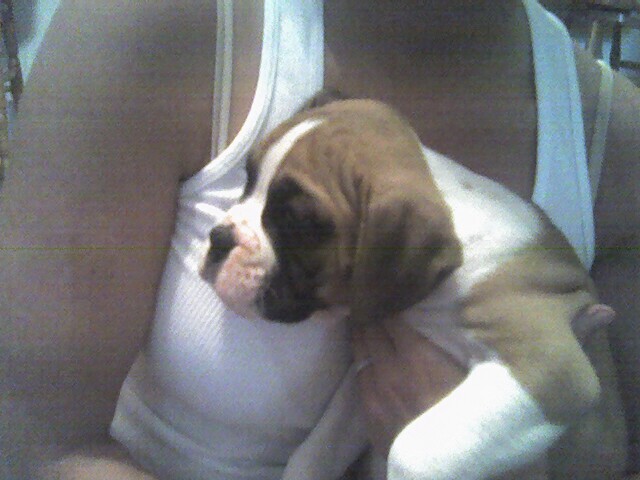 Tyson with his Mommy!