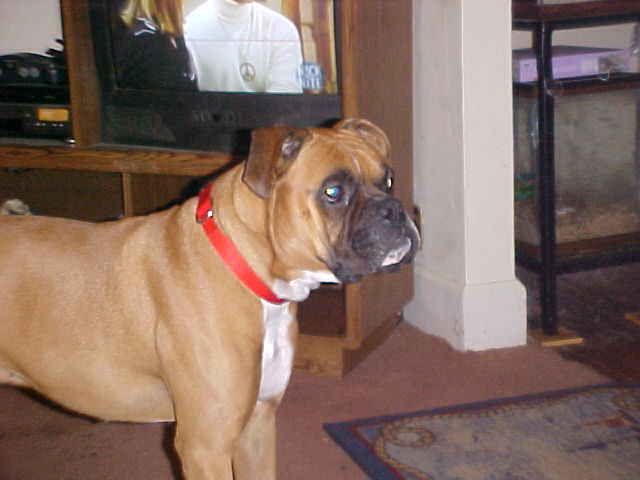 Tyson