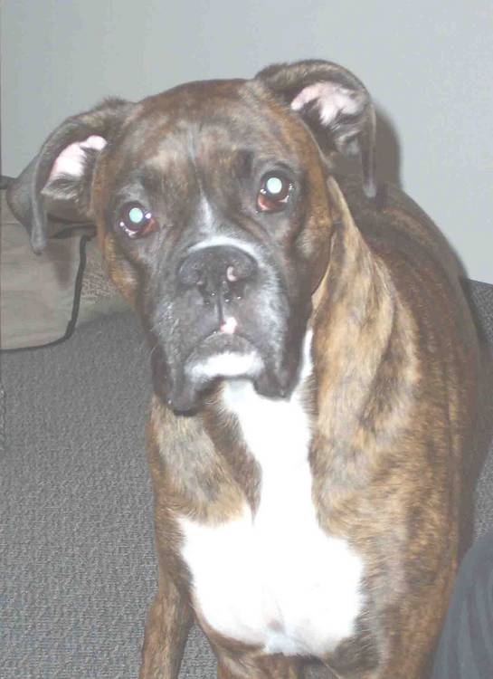 Tyson