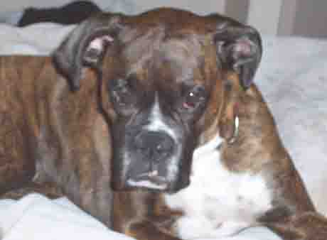 Tyson