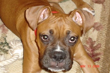 Tyson
