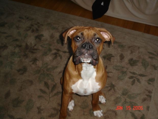 Tyson