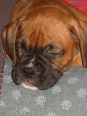 Tyson