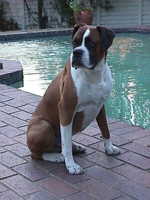 Tyson