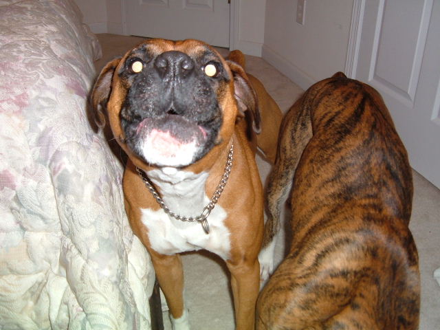 TYSON