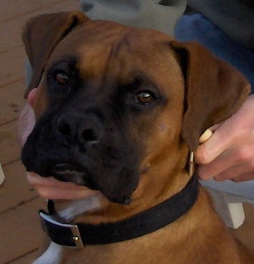 Tyson
