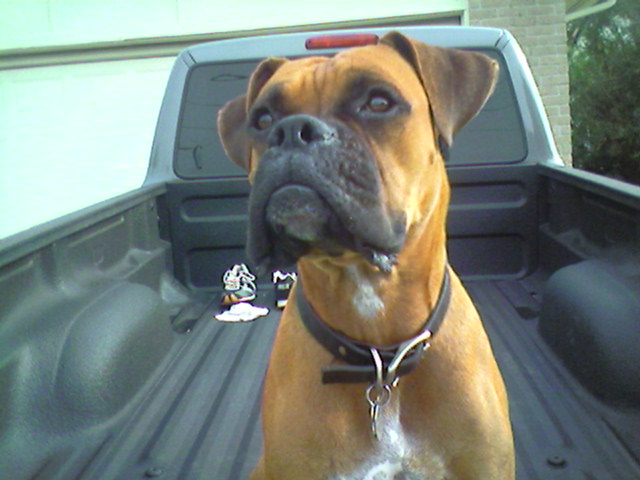 Tyson