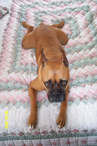 Tyson