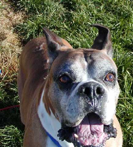 Tyson