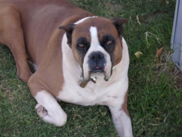 Tyson