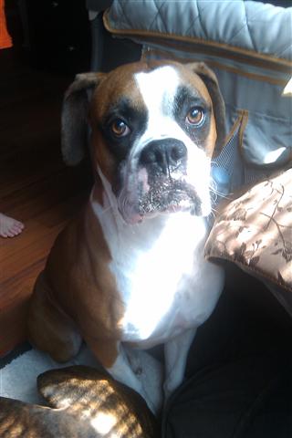 Tyson