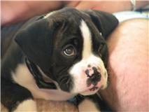 Tyson