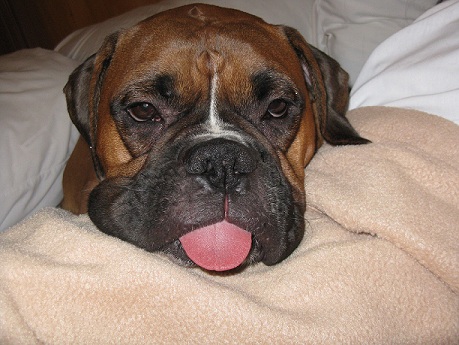 Tyson