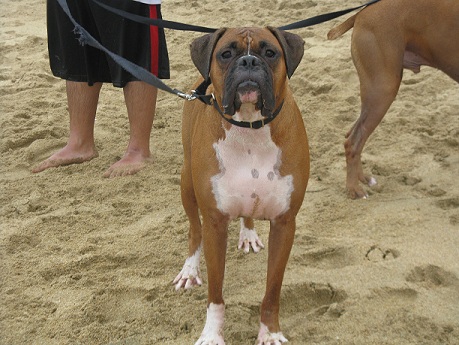 Tyson