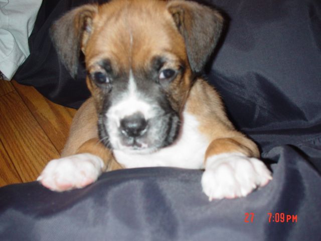 Tyson21