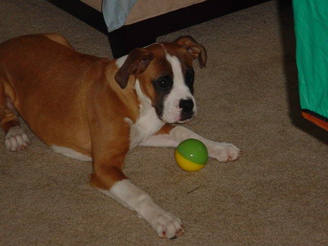 tyson34