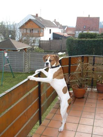 tyson5