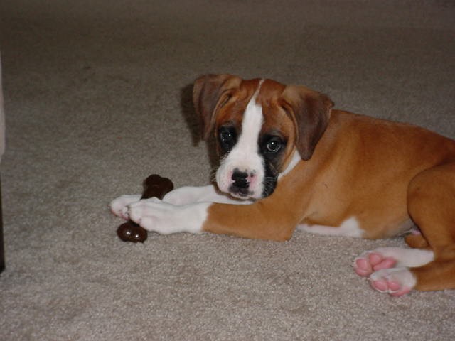 tyson7