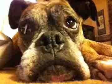 ulookingatme