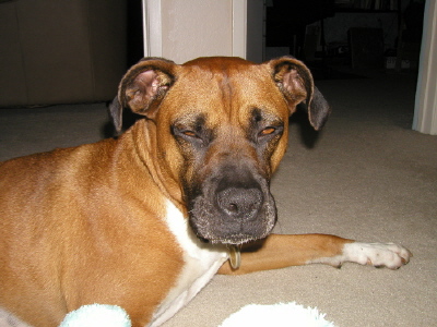 umm..hey, no flash photography please!
