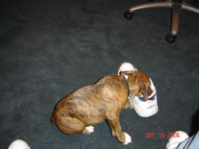 Uncle Justin's shoes are fun