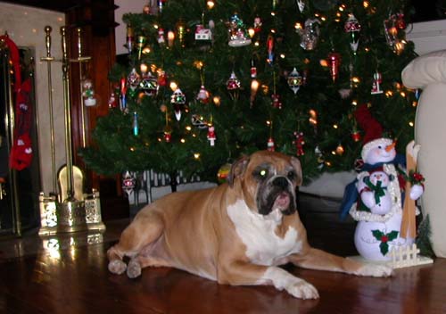 under my tree