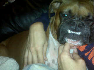 Underbite - Ha Ha