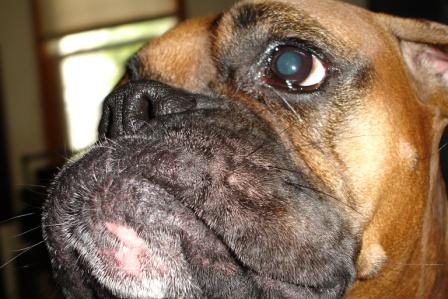 underbite!!