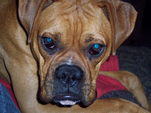 Up close and personal