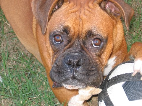 Up Close....and too Cute!