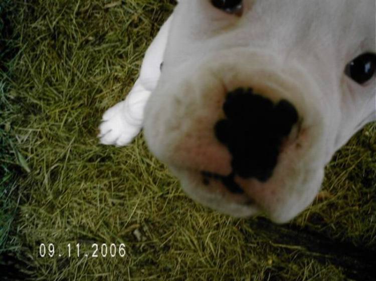 Up-close with Wags