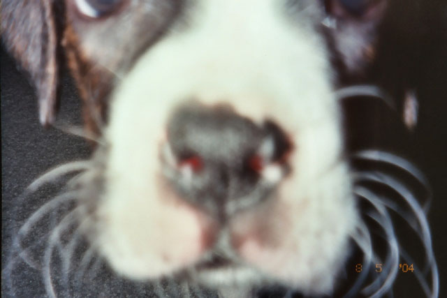 Up Close
