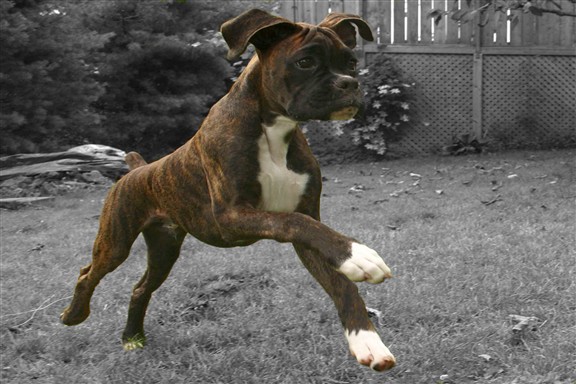 Up, Up and Awaaaay.......