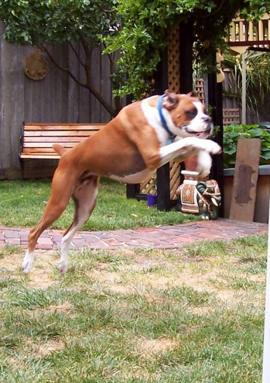 Up up and away