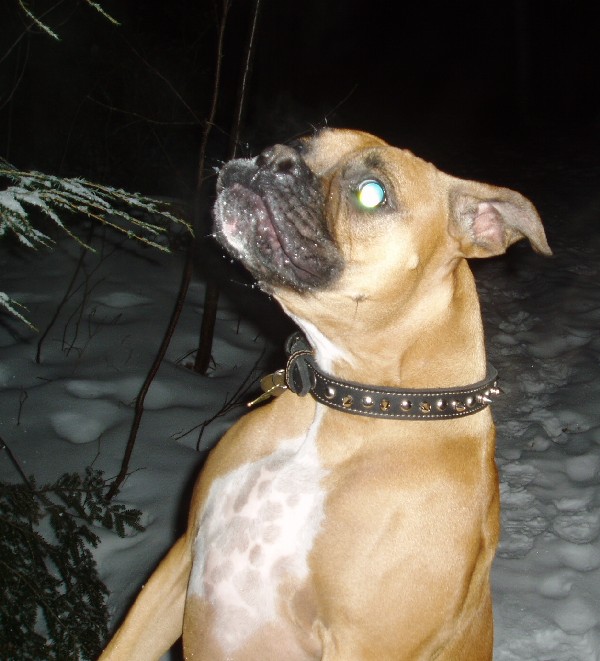 up Zeek!