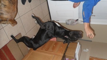 Up