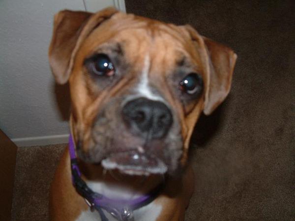 Upclose!