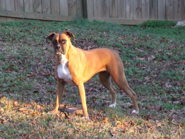 Updated Picture Of Sasha