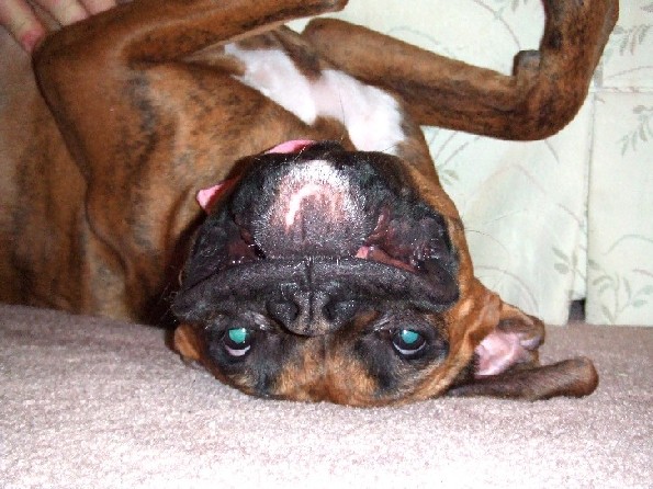 Upside Down Kaybie