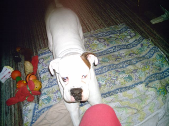 Urly3yrs26wks old 2009.