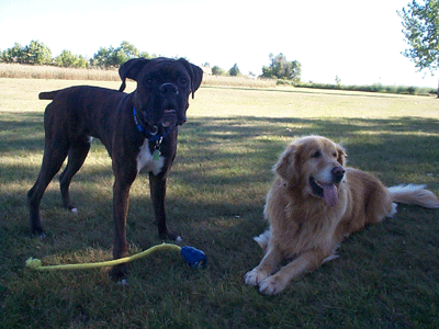 Vegas and Abby