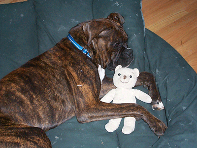 Vegas and his Baby