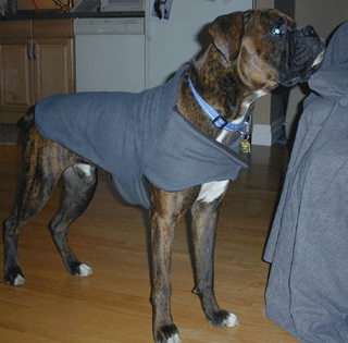 Vegas' Jacket