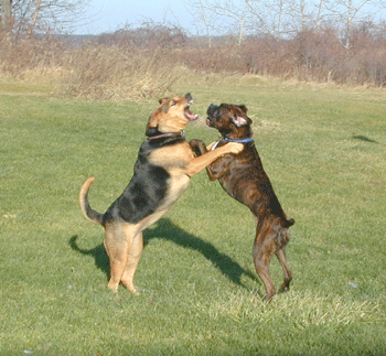 Vegas & Jessie