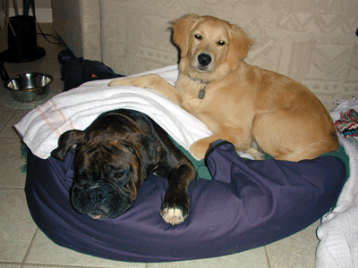Vegas & Monty