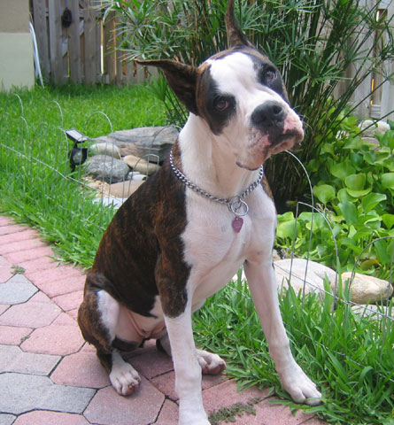 Venus 6 months